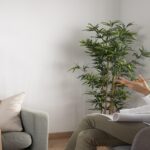 Individual Counseling